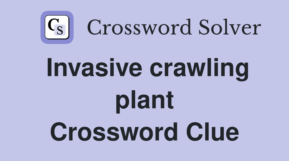 Invasive crawling plant Crossword Clue