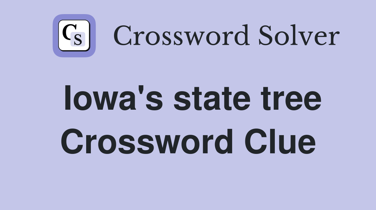Iowa's state tree Crossword Clue