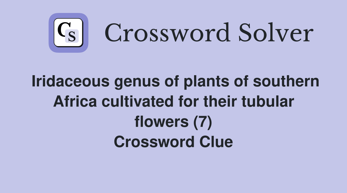 Iridaceous genus of plants of southern Africa cultivated for their tubular flowers (7) Crossword Clue
