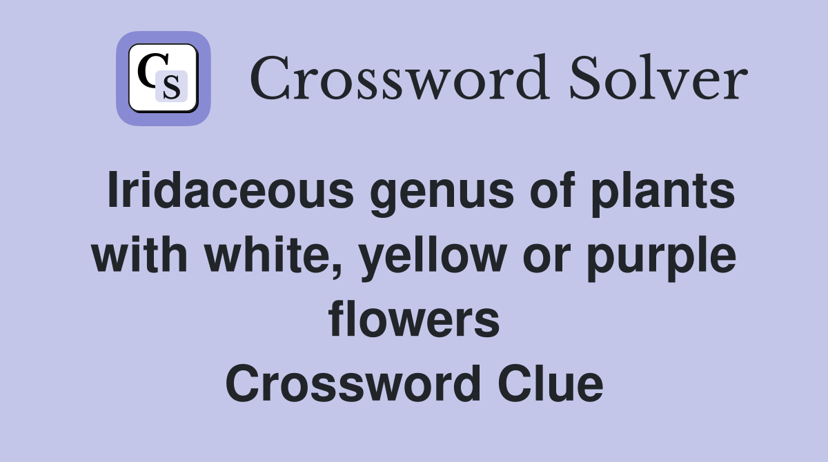 Iridaceous genus of plants with white, yellow or purple flowers Crossword Clue