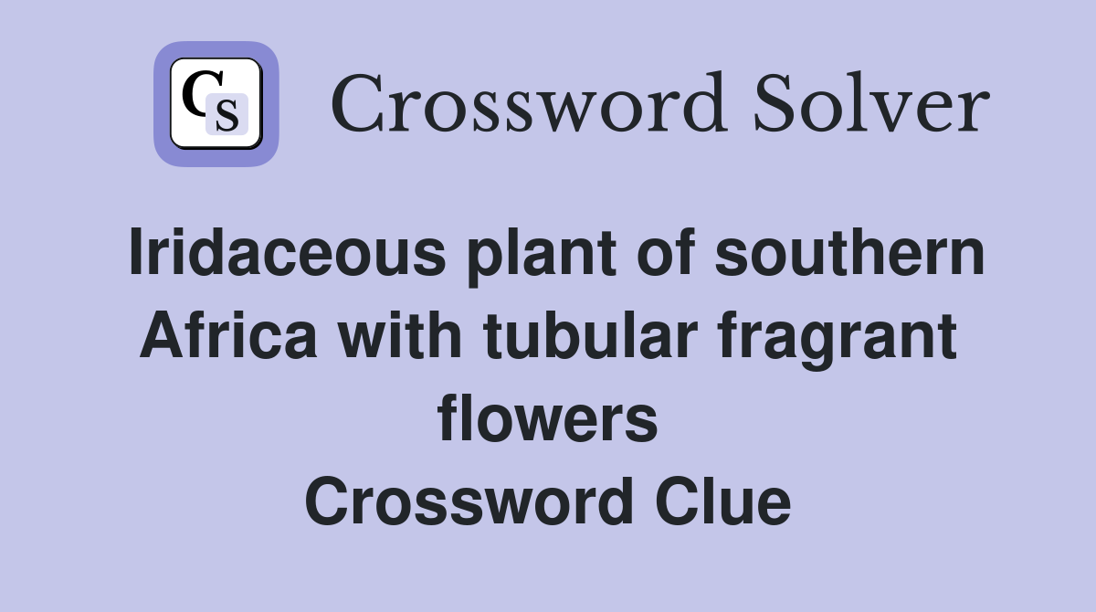 Iridaceous plant of southern Africa with tubular fragrant flowers Crossword Clue