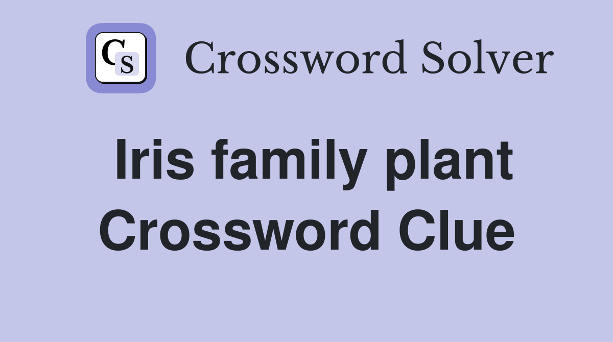 Iris family plant Crossword Clue