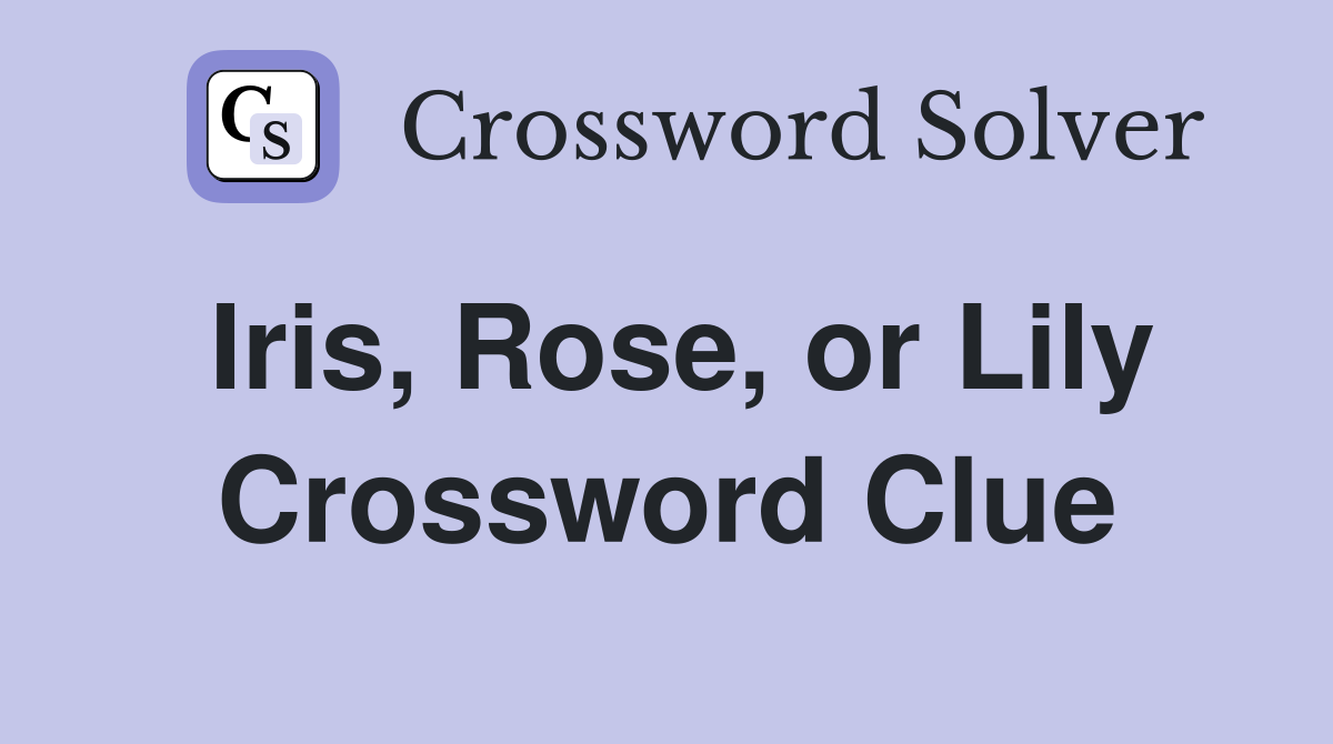 Iris, Rose, or Lily Crossword Clue