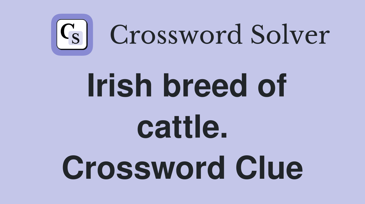 Irish breed of cattle. Crossword Clue