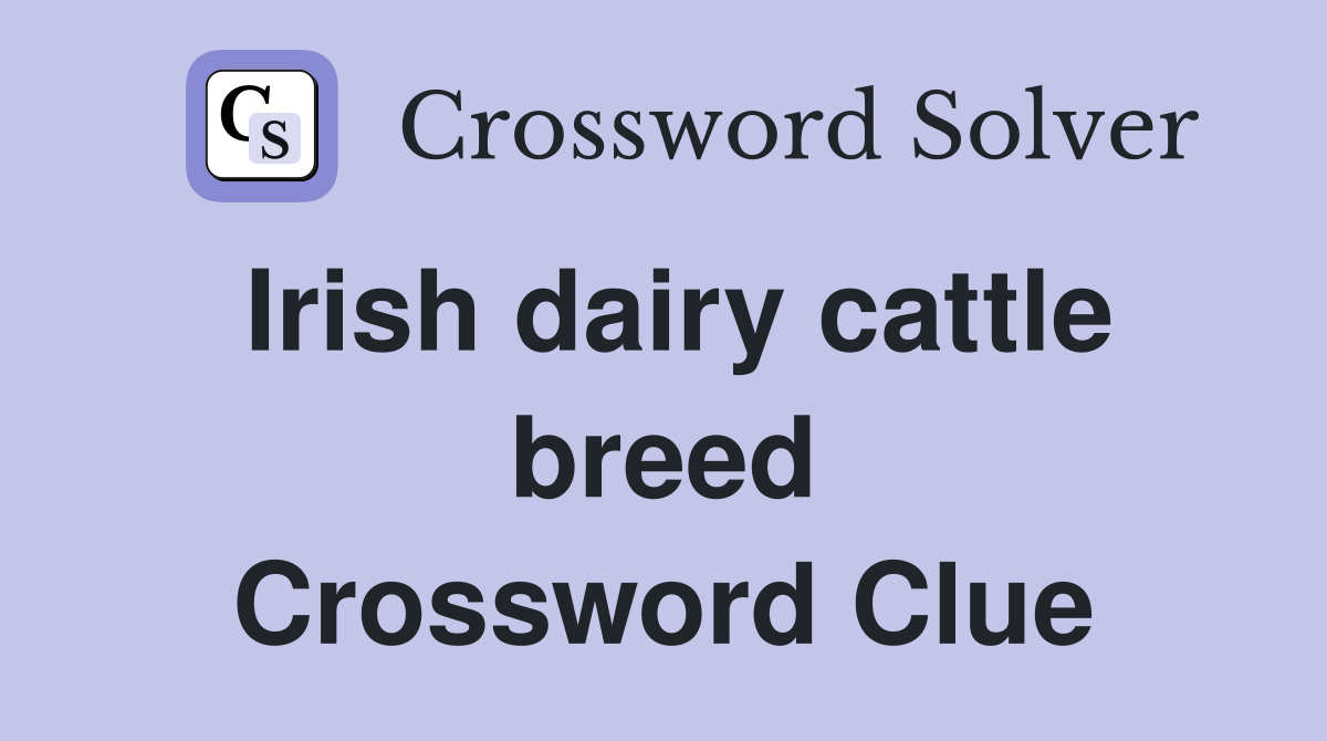 Irish dairy cattle breed Crossword Clue
