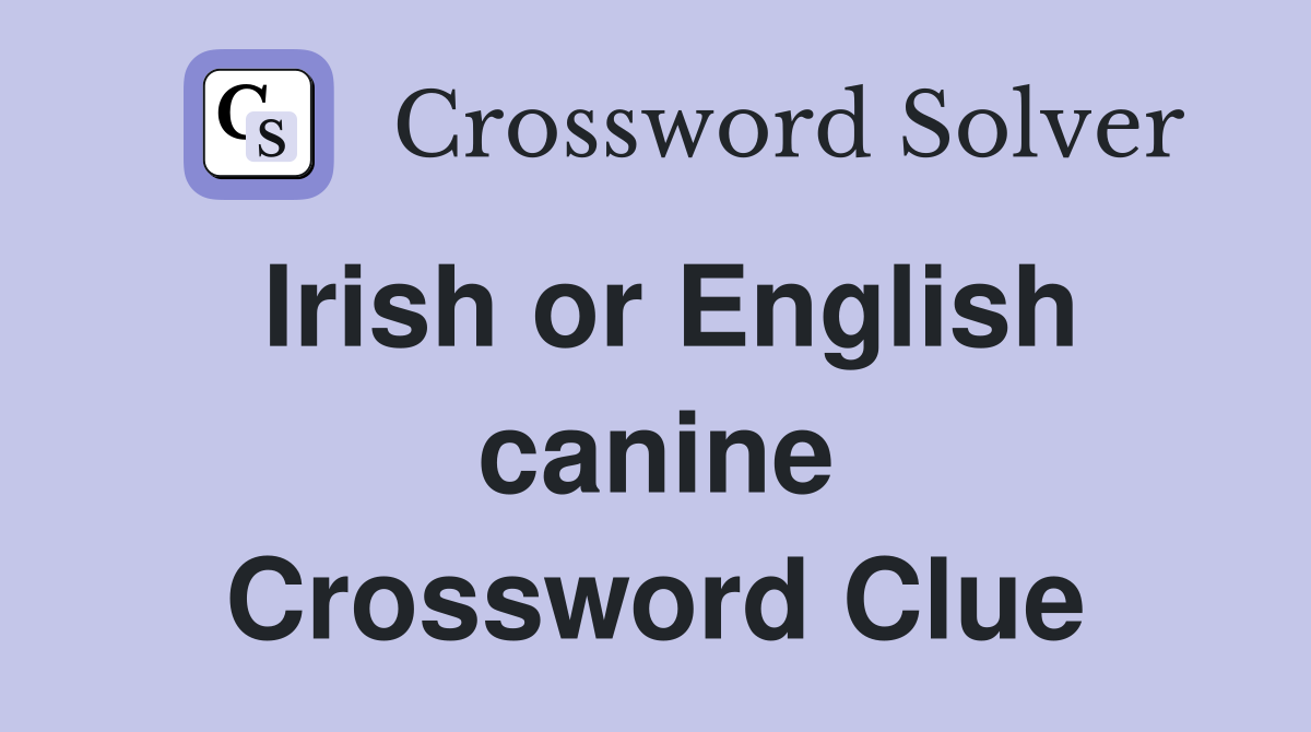 Irish or English canine Crossword Clue