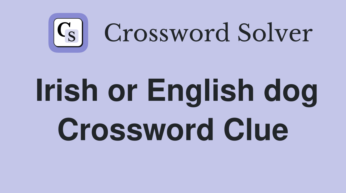 Irish or English dog Crossword Clue