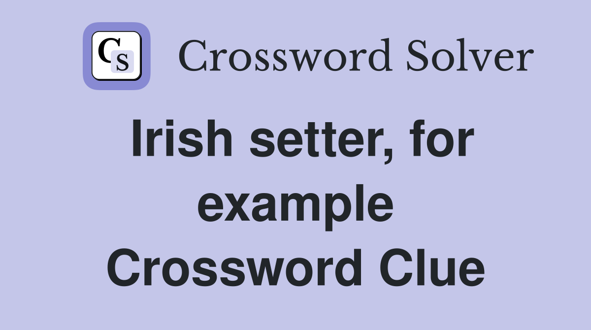 Irish setter, for example Crossword Clue