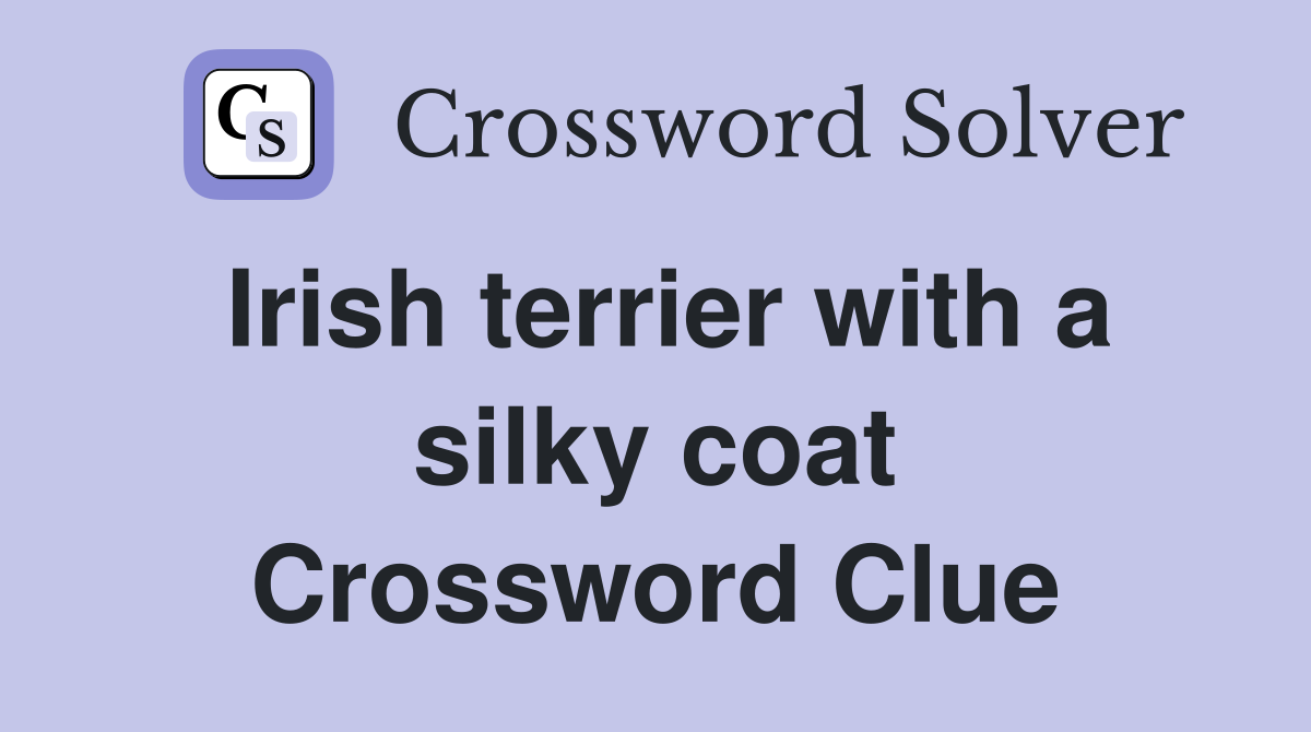 Irish terrier with a silky coat Crossword Clue
