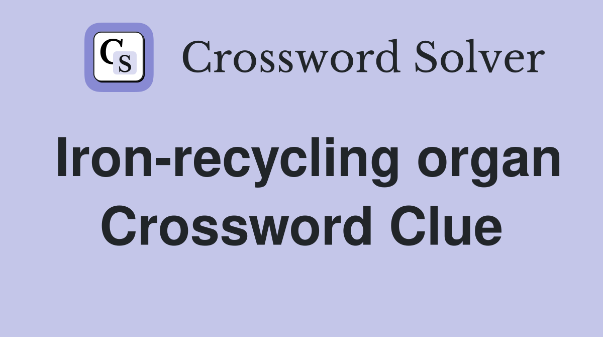 Iron-recycling organ Crossword Clue