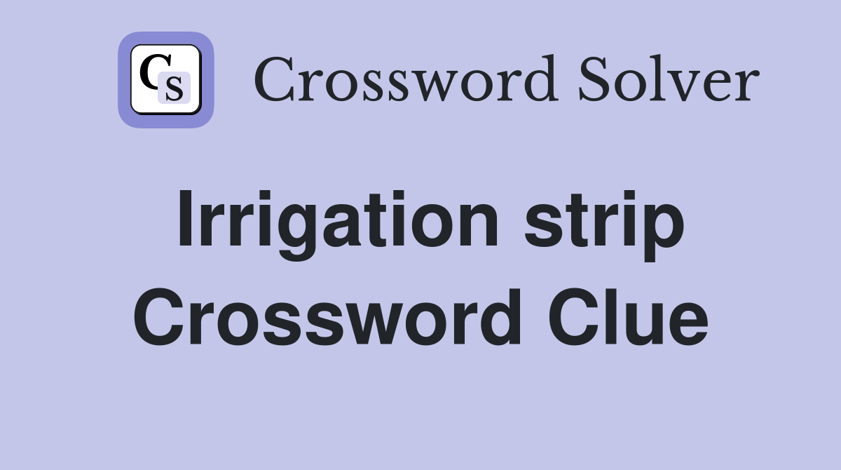 Irrigation strip Crossword Clue
