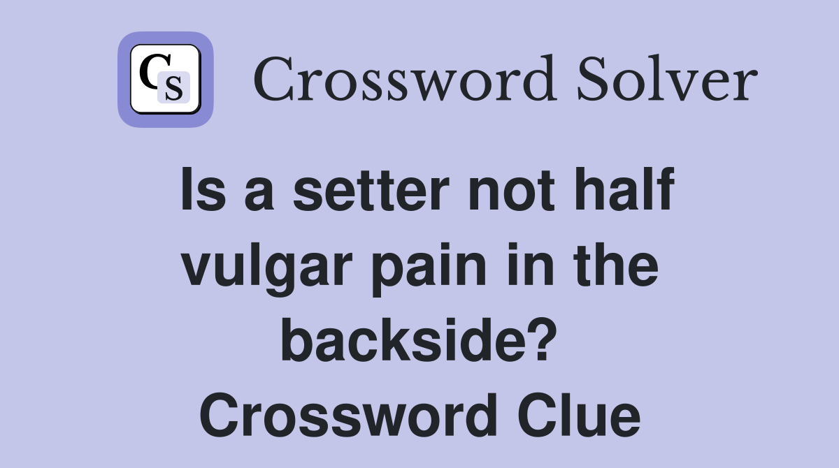 Is a setter not half vulgar pain in the backside? Crossword Clue