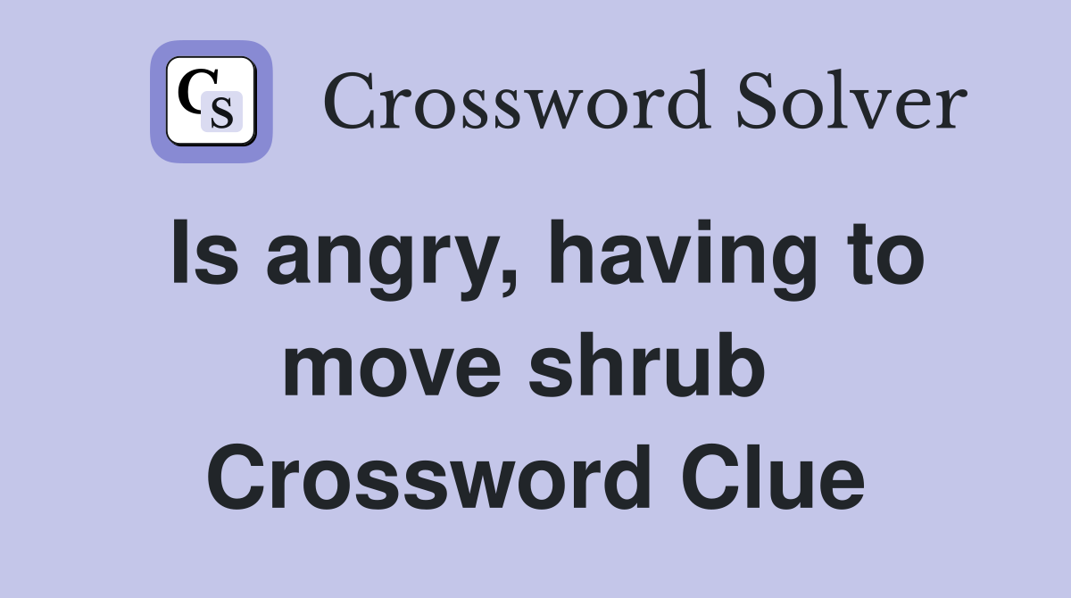 Is angry, having to move shrub  Crossword Clue