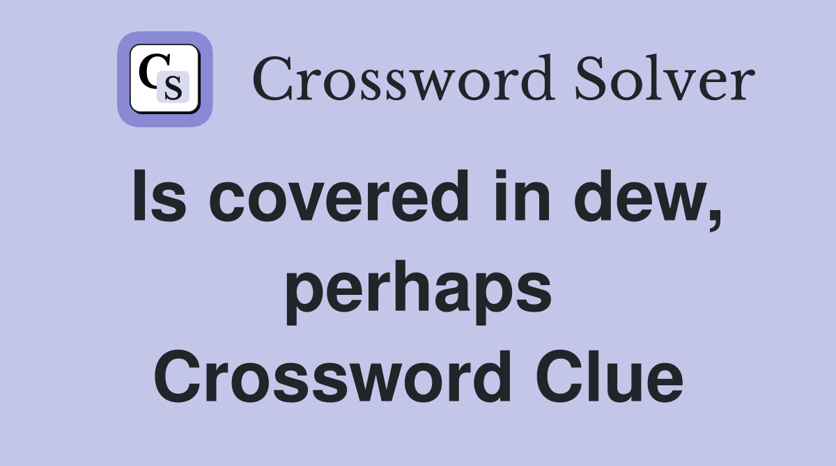 Is covered in dew, perhaps Crossword Clue