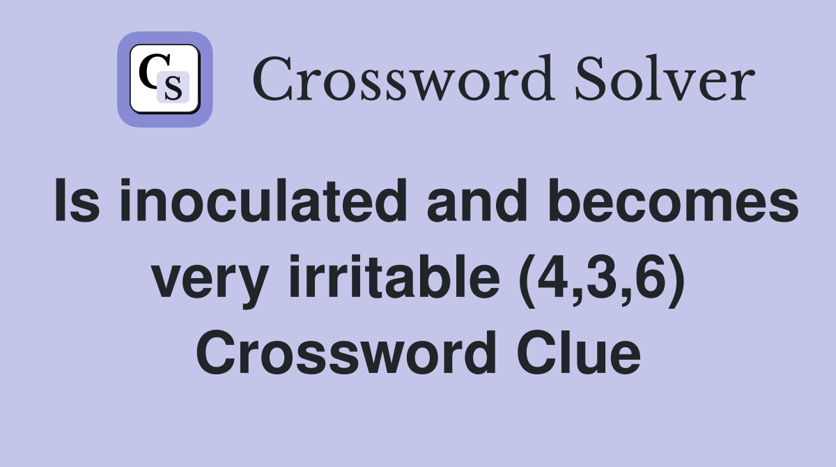Is inoculated and becomes very irritable (4,3,6) Crossword Clue