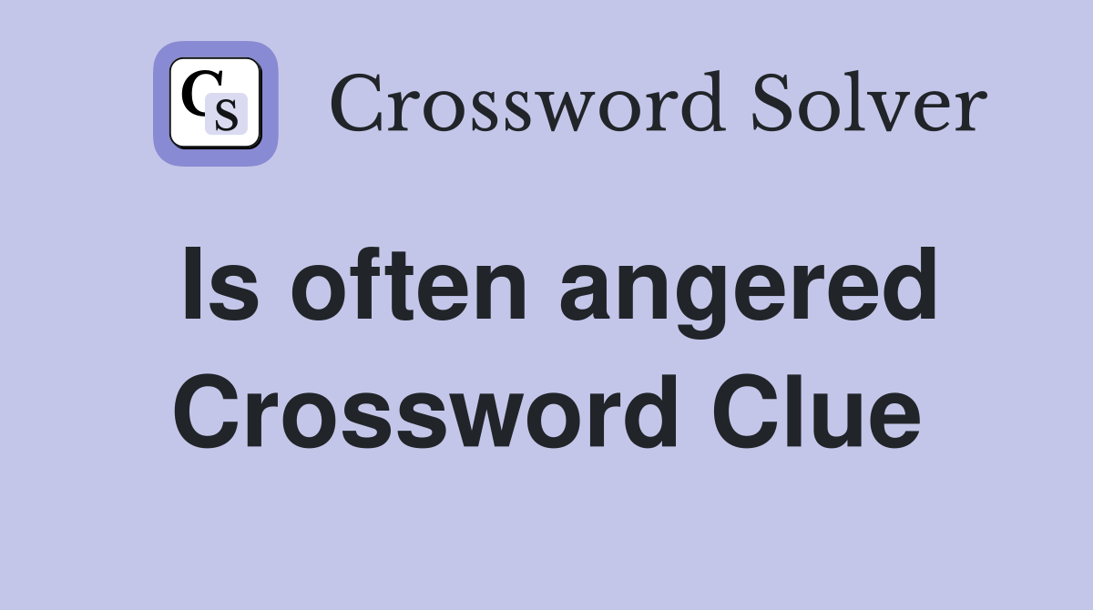 Is often angered Crossword Clue