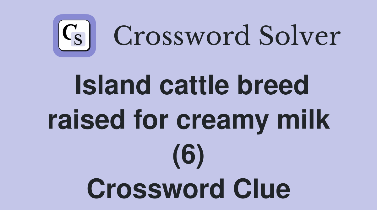 Island cattle breed raised for creamy milk (6) Crossword Clue