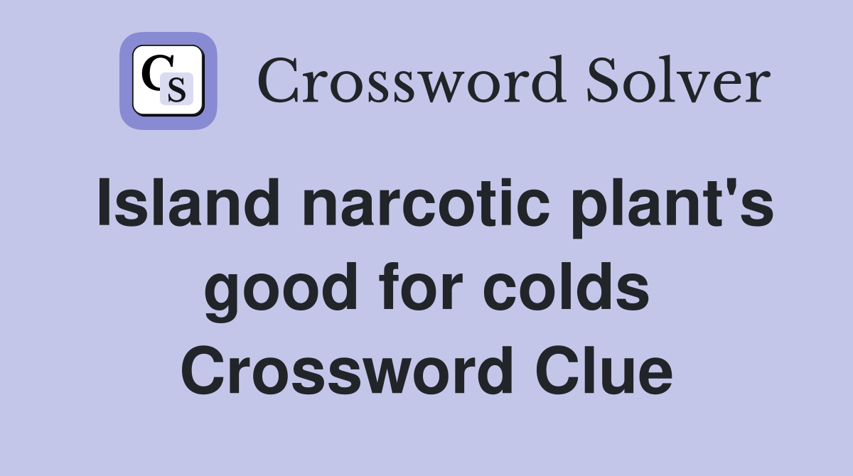 Island narcotic plant's good for colds Crossword Clue