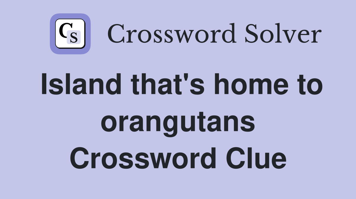 Island that's home to orangutans Crossword Clue
