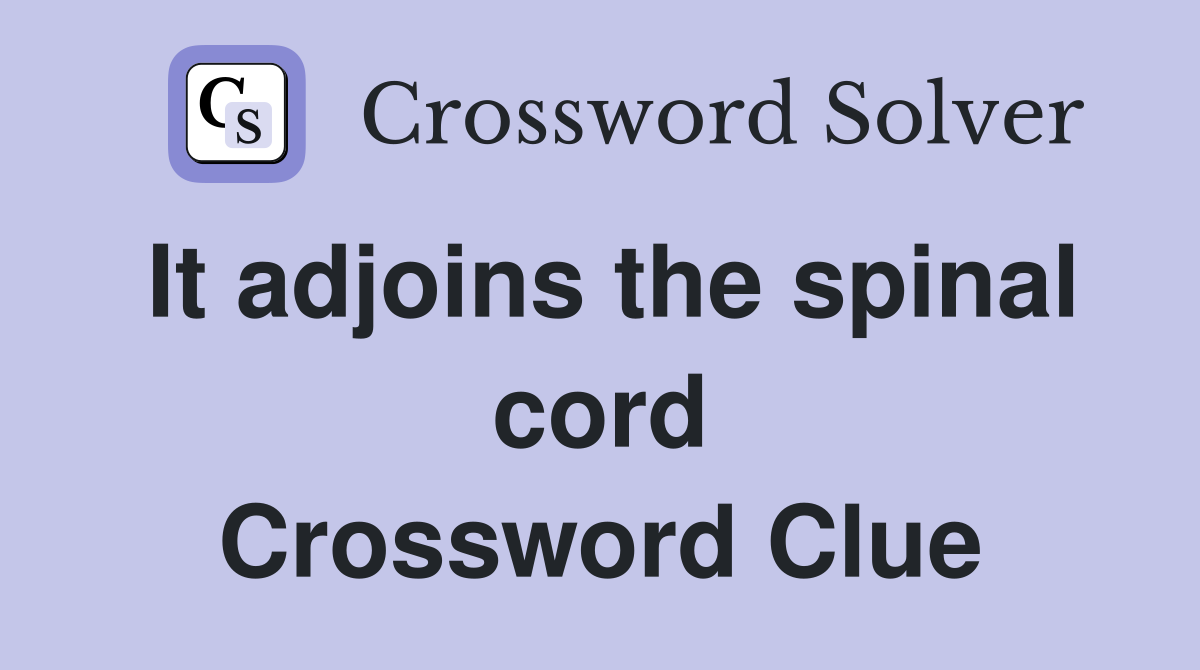It adjoins the spinal cord Crossword Clue