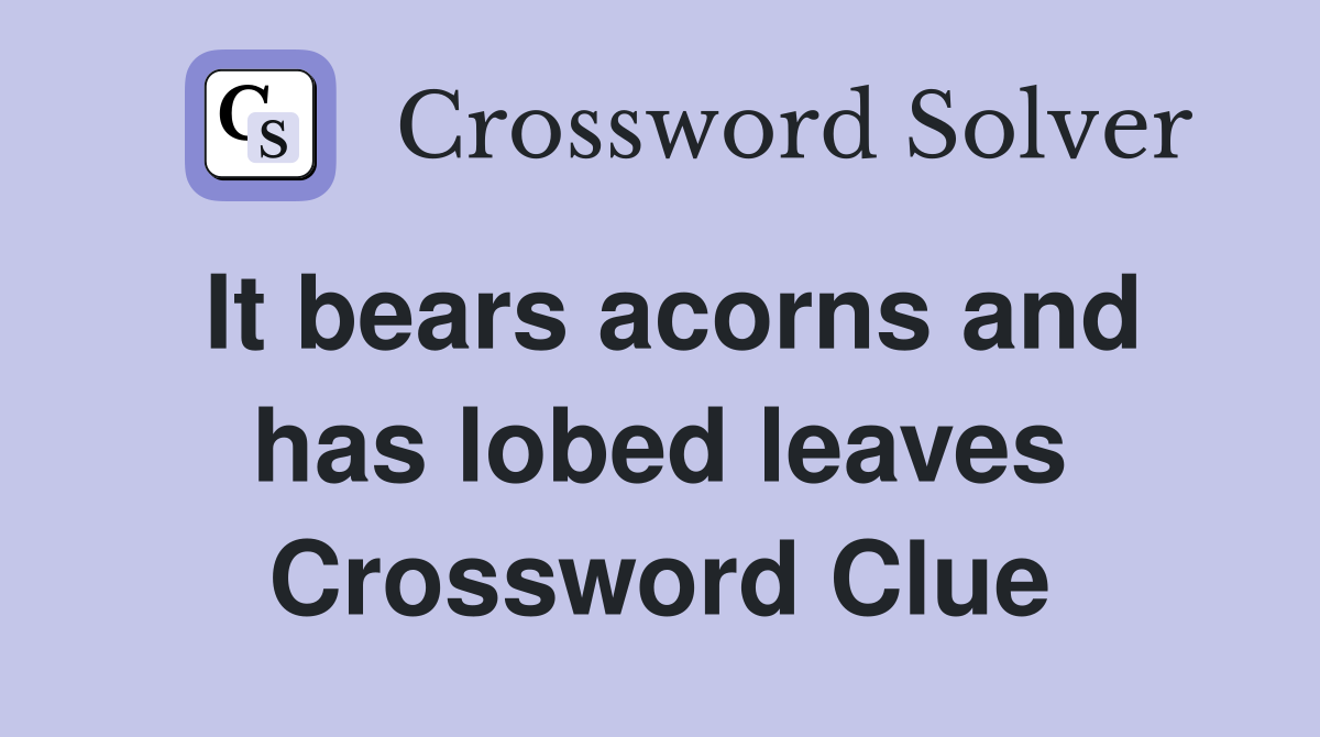 It bears acorns and has lobed leaves Crossword Clue
