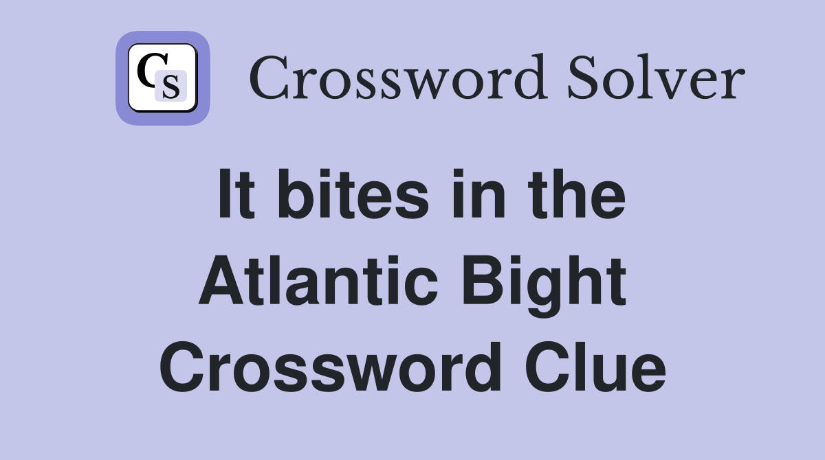 It bites in the Atlantic Bight Crossword Clue