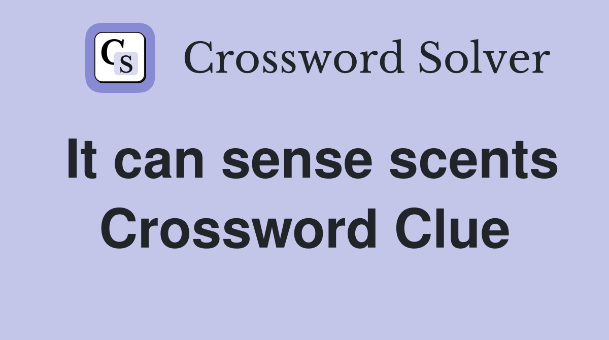 It can sense scents Crossword Clue