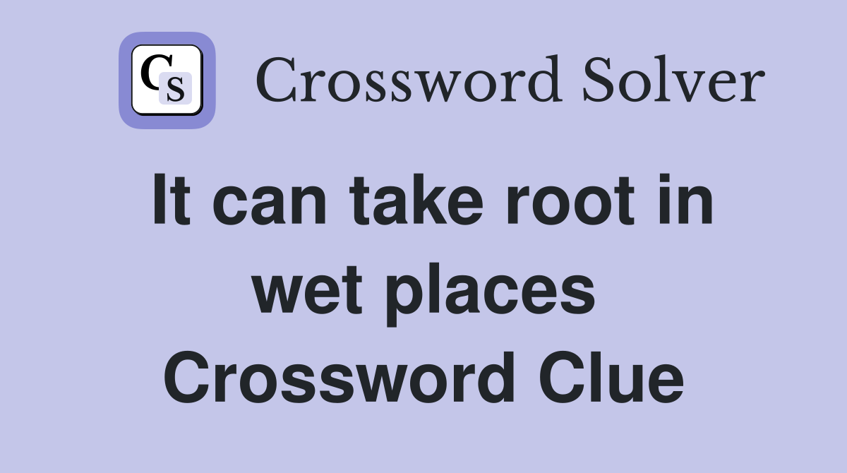 It can take root in wet places Crossword Clue