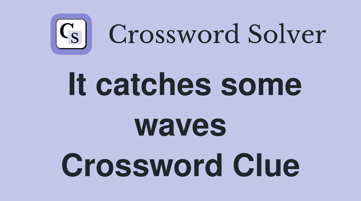 It catches some waves Crossword Clue