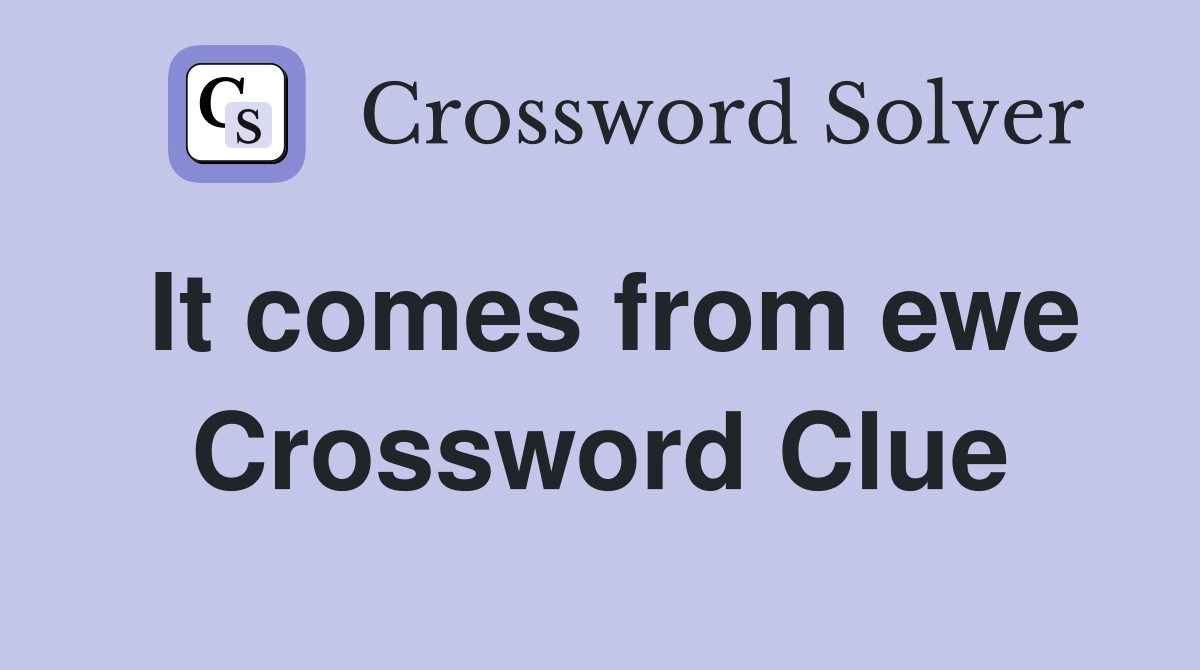 It comes from ewe Crossword Clue