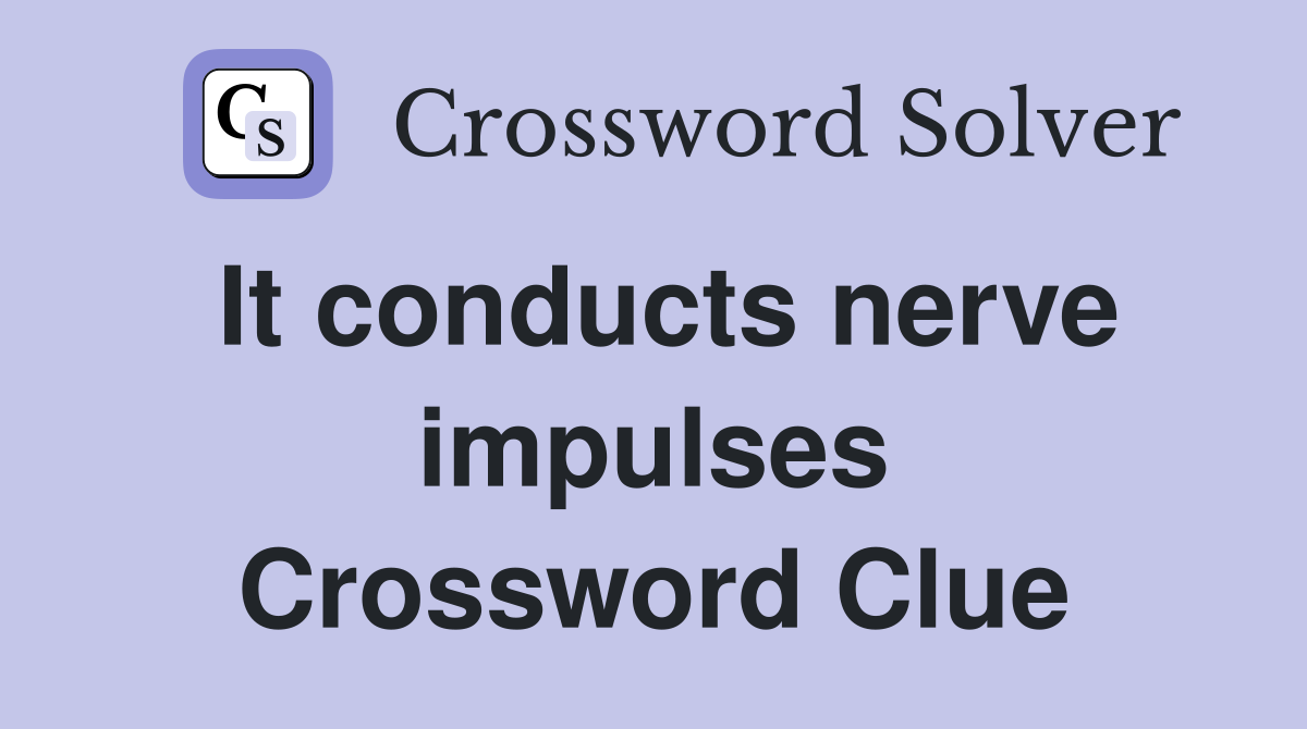 It conducts nerve impulses Crossword Clue