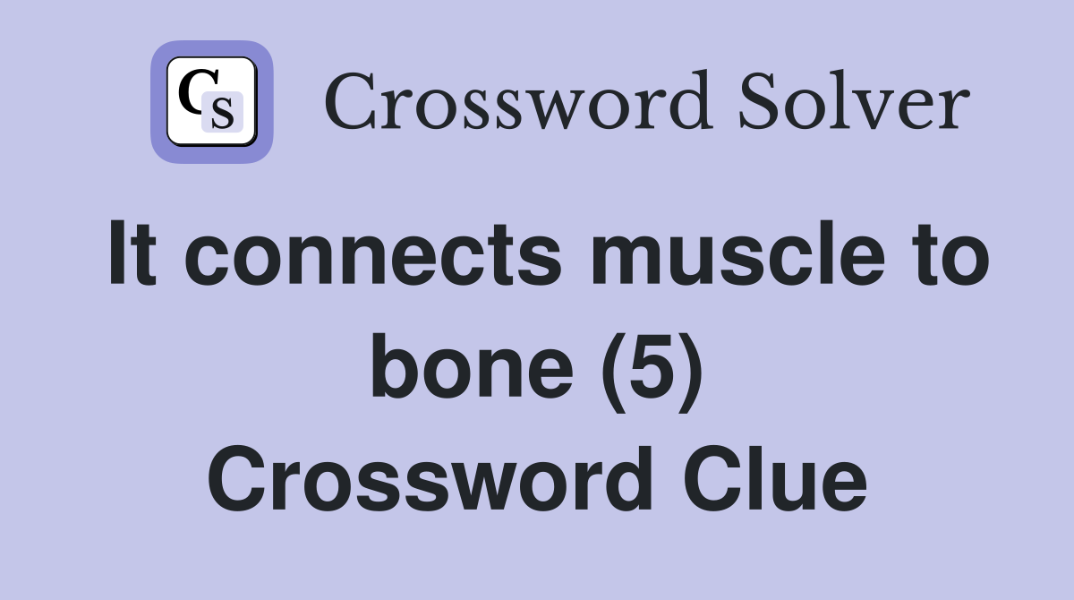 It connects muscle to bone (5) Crossword Clue