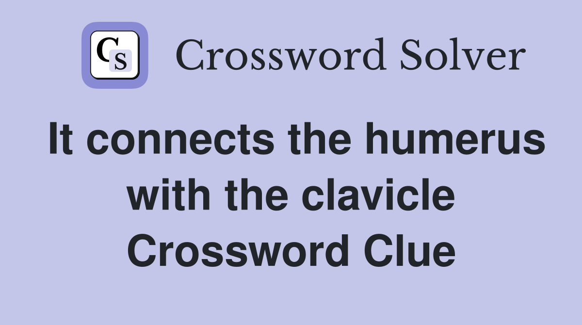 It connects the humerus with the clavicle Crossword Clue