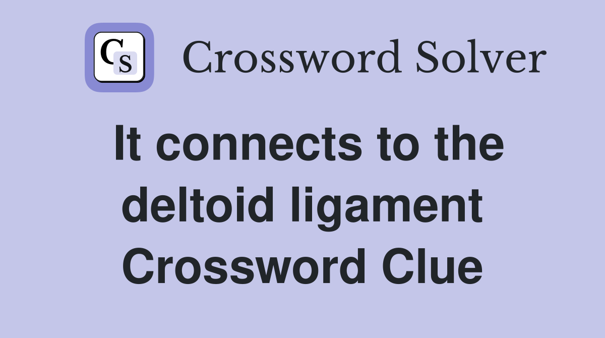 It connects to the deltoid ligament Crossword Clue
