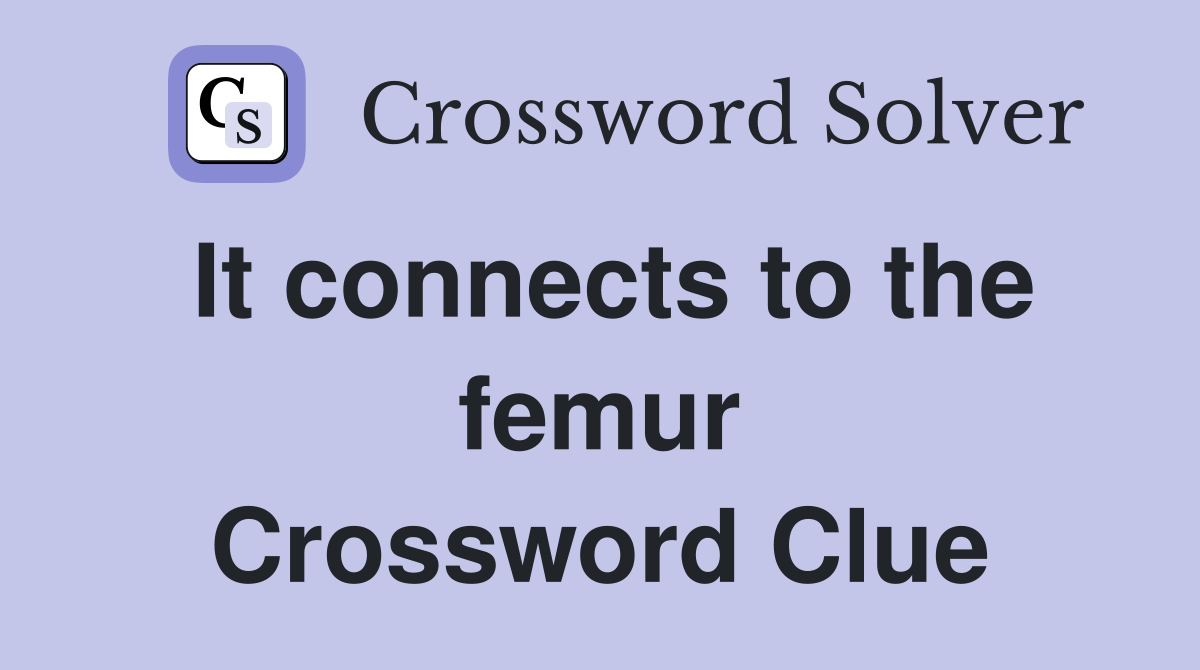 It connects to the femur Crossword Clue