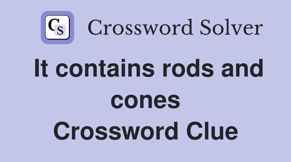 It contains rods and cones Crossword Clue