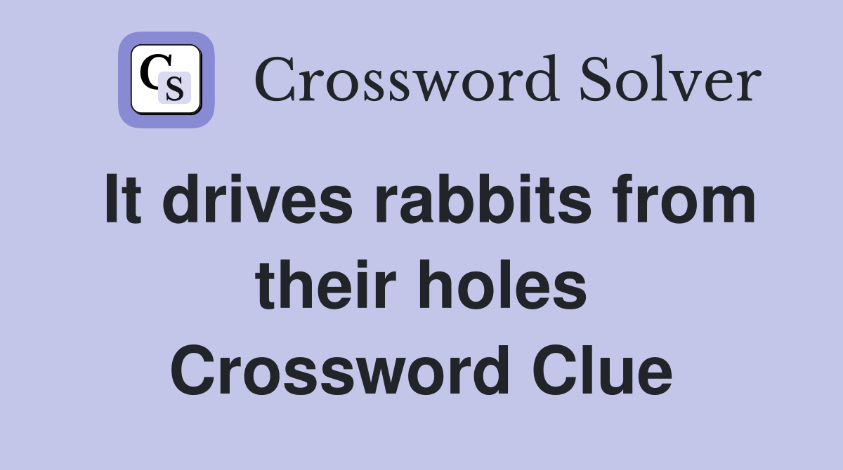 It drives rabbits from their holes Crossword Clue