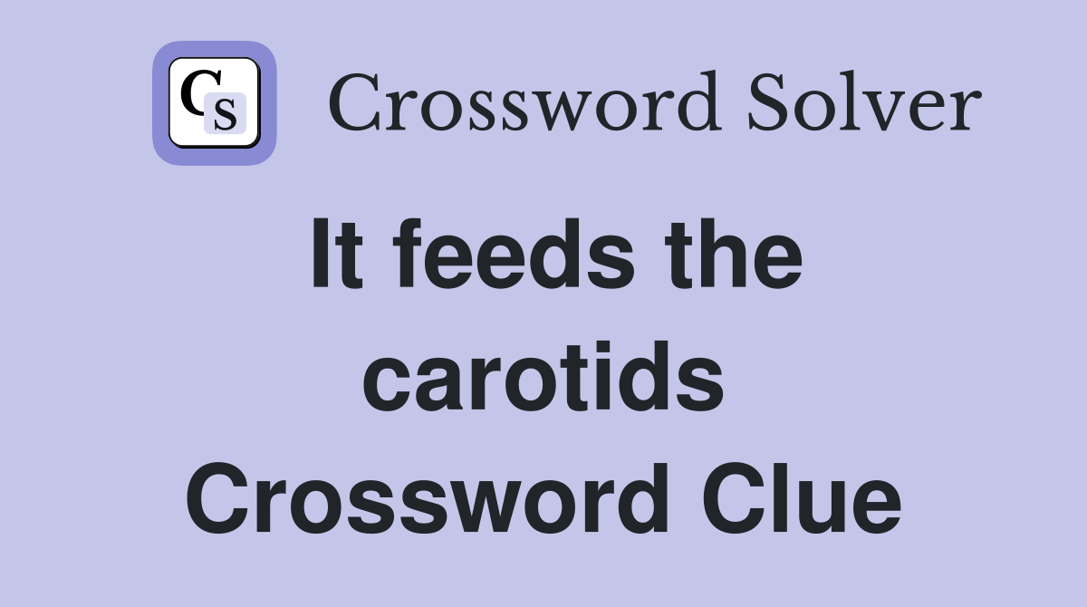It feeds the carotids Crossword Clue