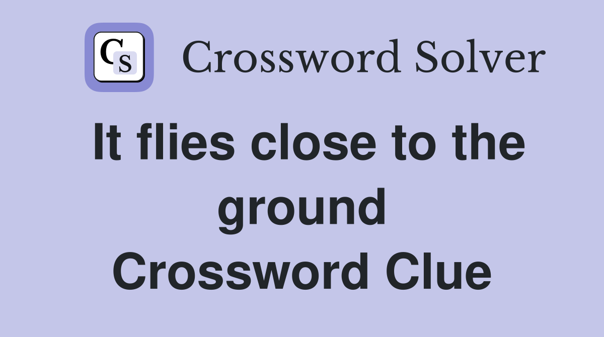 It flies close to the ground Crossword Clue