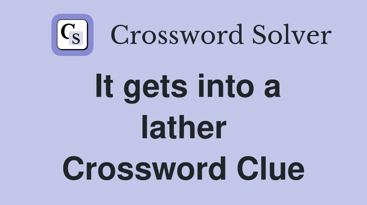 It gets into a lather Crossword Clue