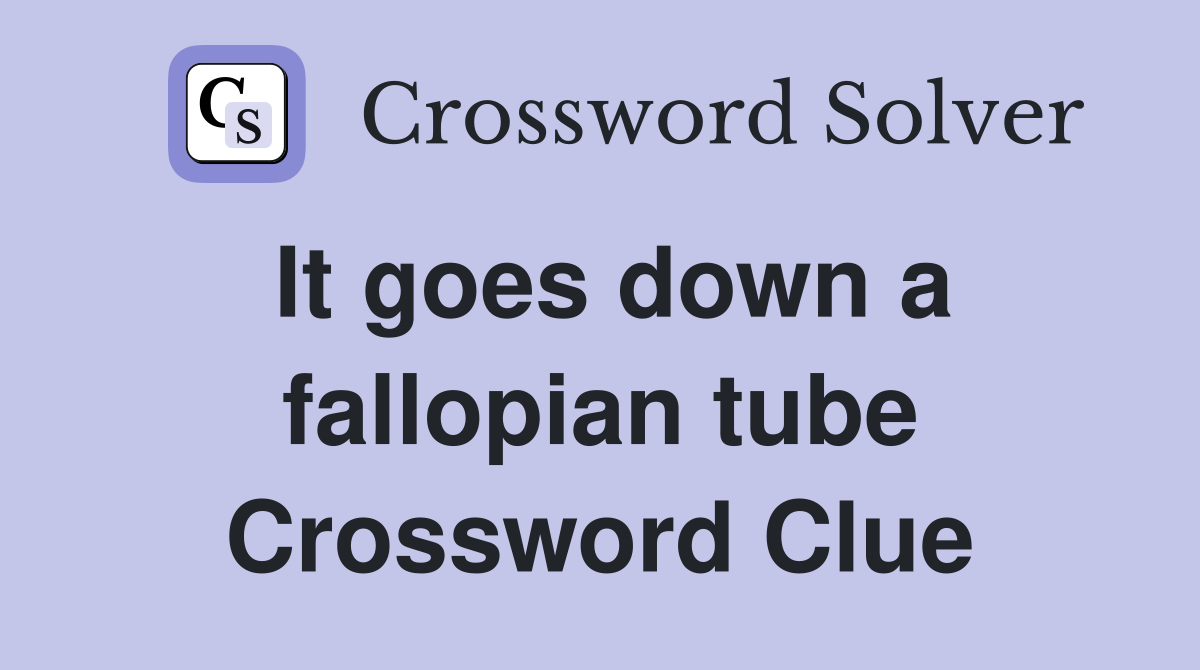 It goes down a fallopian tube Crossword Clue