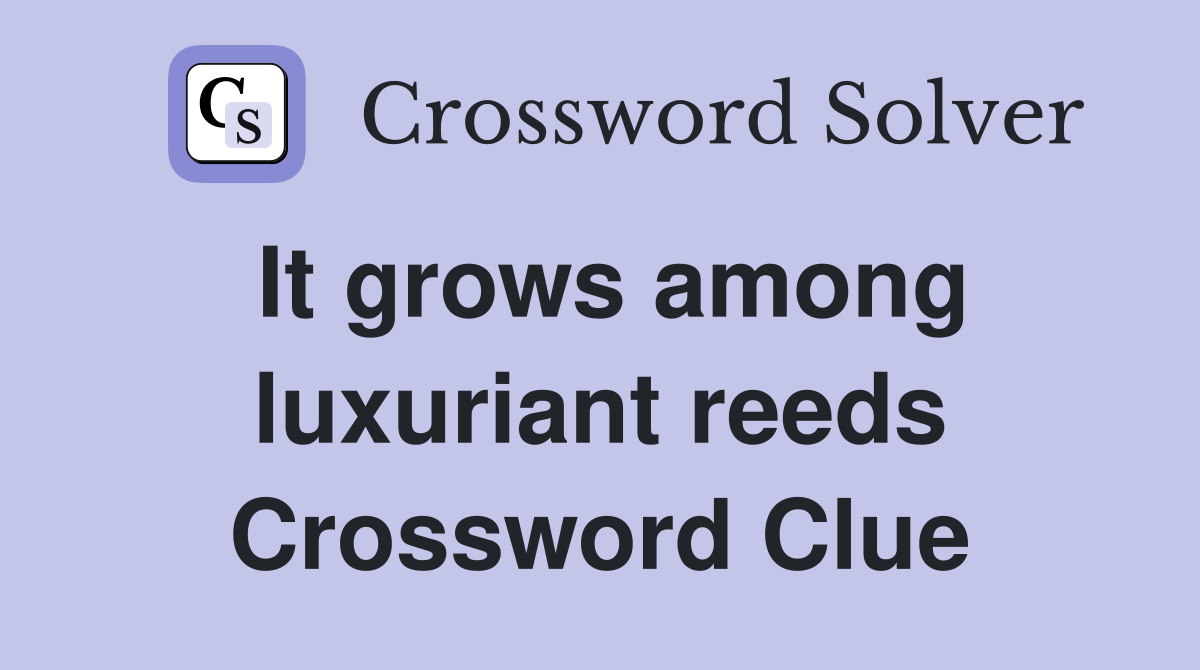 It grows among luxuriant reeds Crossword Clue
