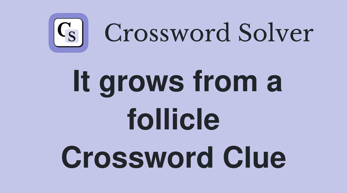 It grows from a follicle Crossword Clue