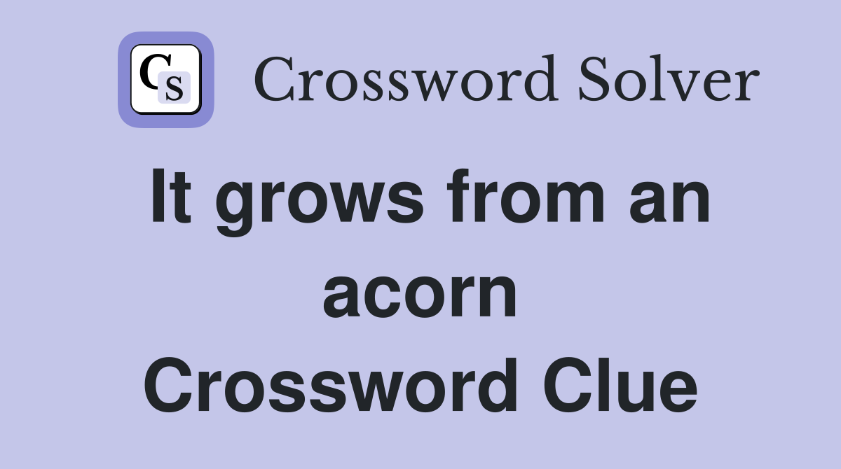 It grows from an acorn Crossword Clue