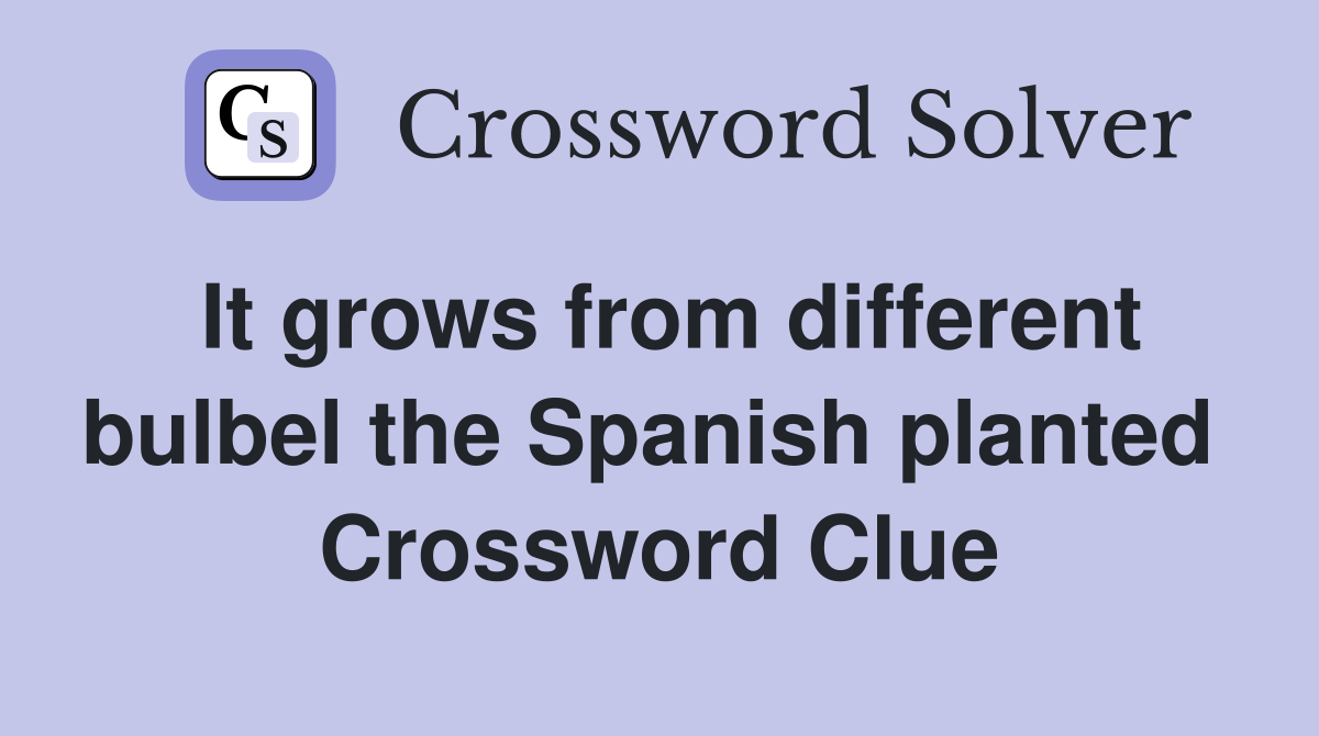 It grows from different bulbel the Spanish planted  Crossword Clue