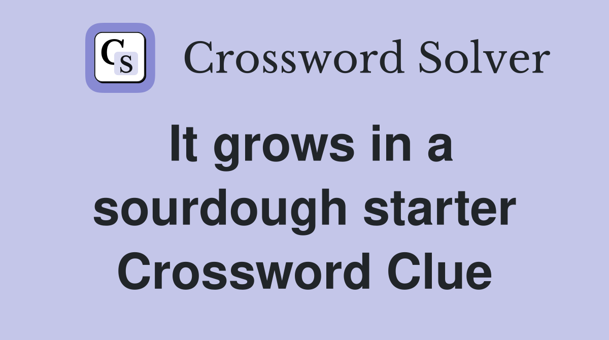 It grows in a sourdough starter Crossword Clue
