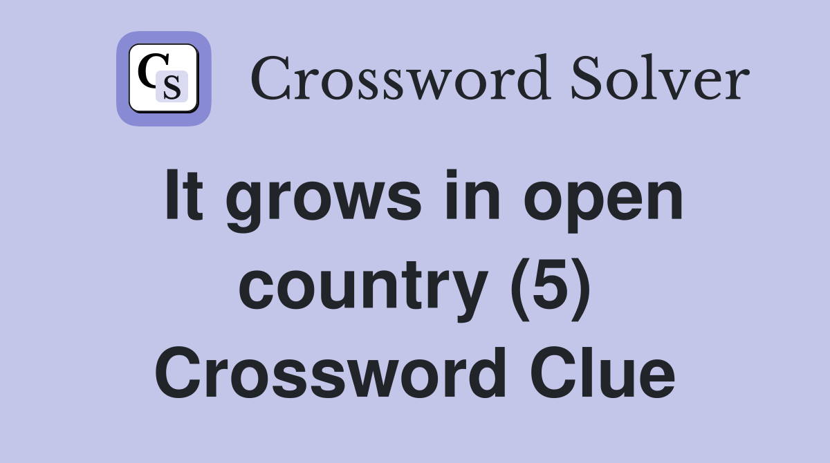 It grows in open country (5) Crossword Clue