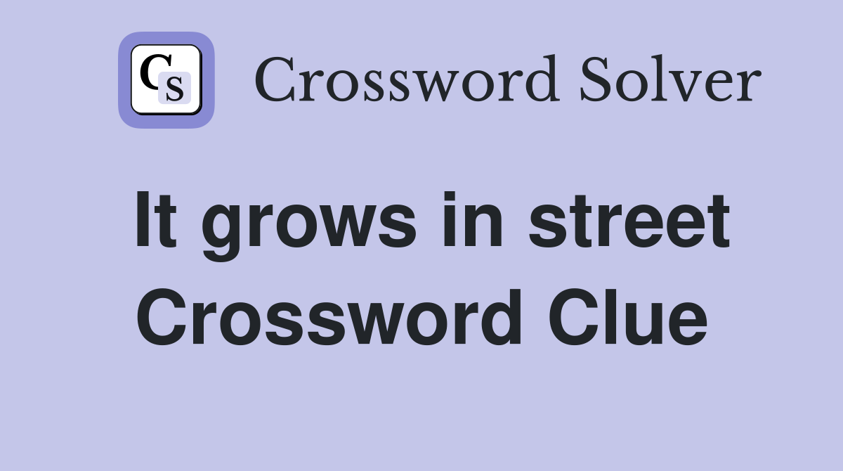 It grows in street Crossword Clue