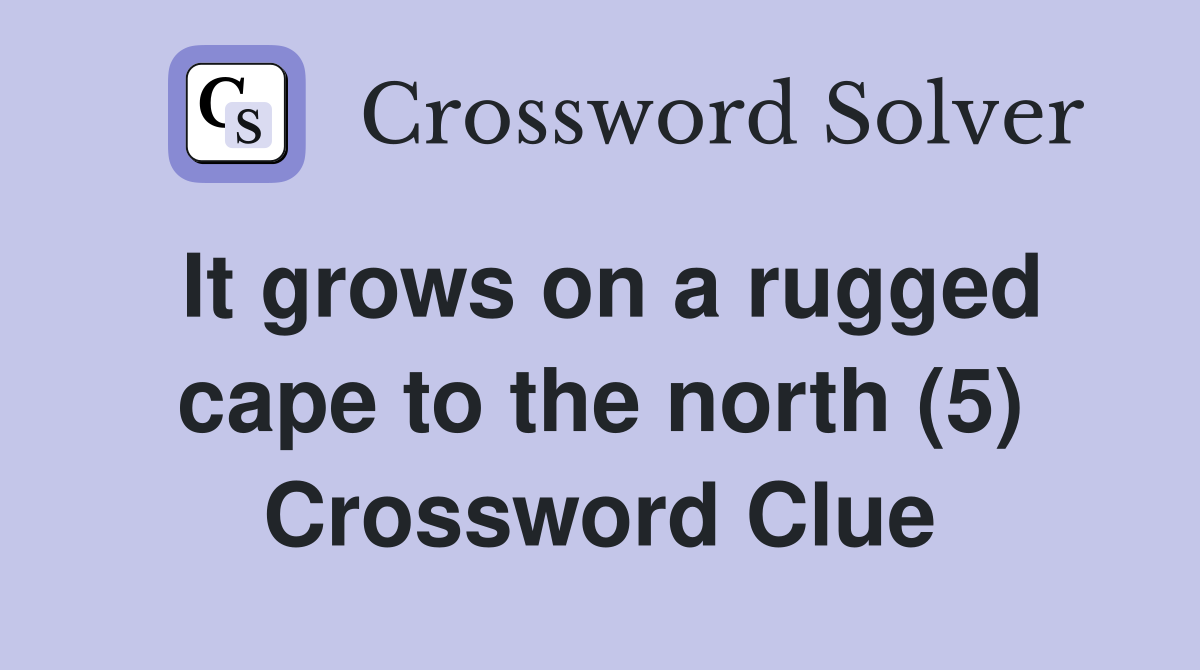 It grows on a rugged cape to the north (5) Crossword Clue
