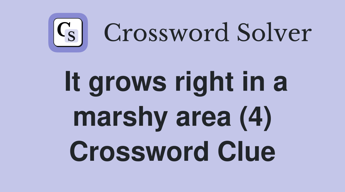 It grows right in a marshy area (4) Crossword Clue